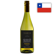 Chardonnay Tarapaca Santa Cecilia 1