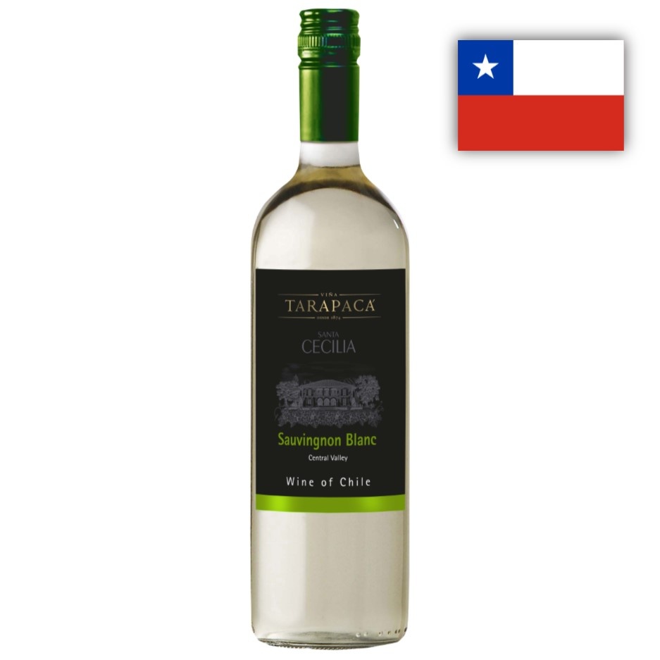 Sauvignon Blanc Tarapaca Santa Cecilia 1