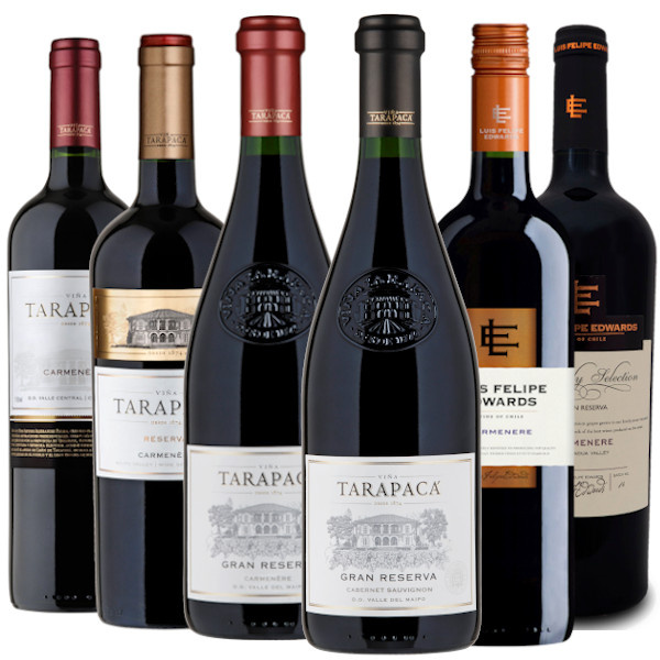vinicola-degustace-online-carmenere-04032021-600x600