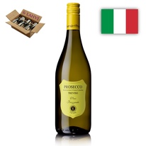 Prosecco Frizzante DOC Treviso Cantina Produttori di Valdobbiadene karton 6 lahvi vina