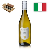 Frizzante Bianco Colli Trevigiani Cantina Produttori di Valdobbiadene - karton 6 lahvi vina