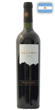 ALTIMVS-Altimus Michel Torino 2