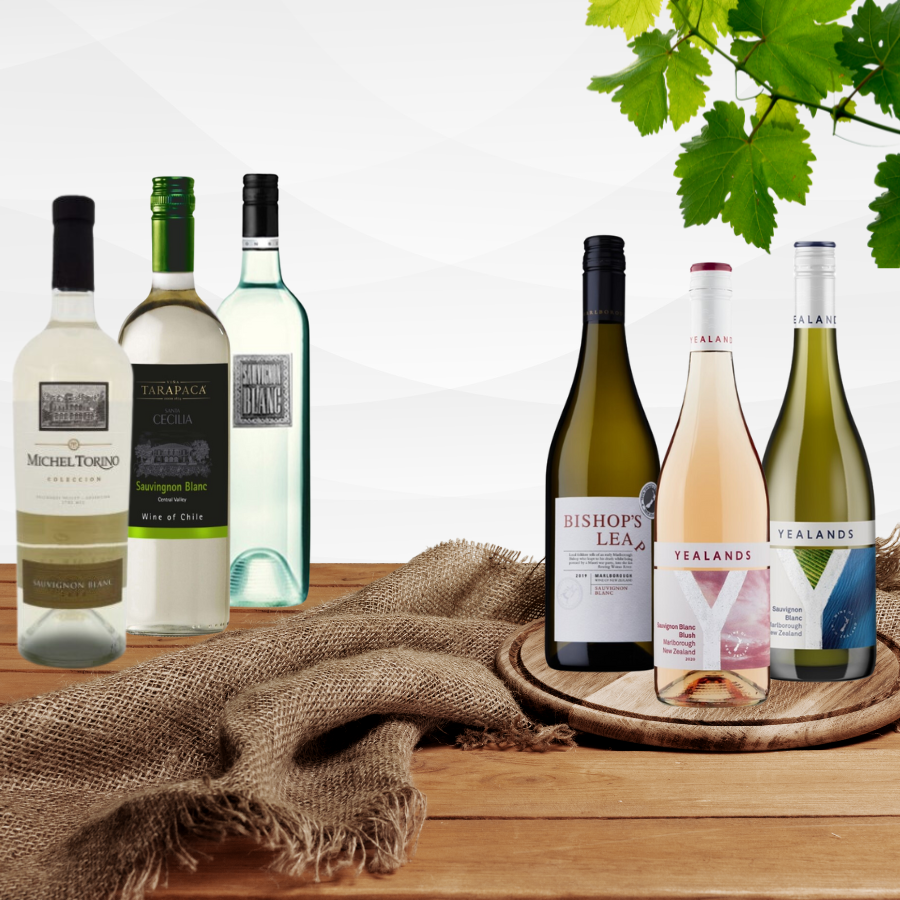 Degustační balíček vín odrůdy Sauvignon (karton 6 lahví vína) 