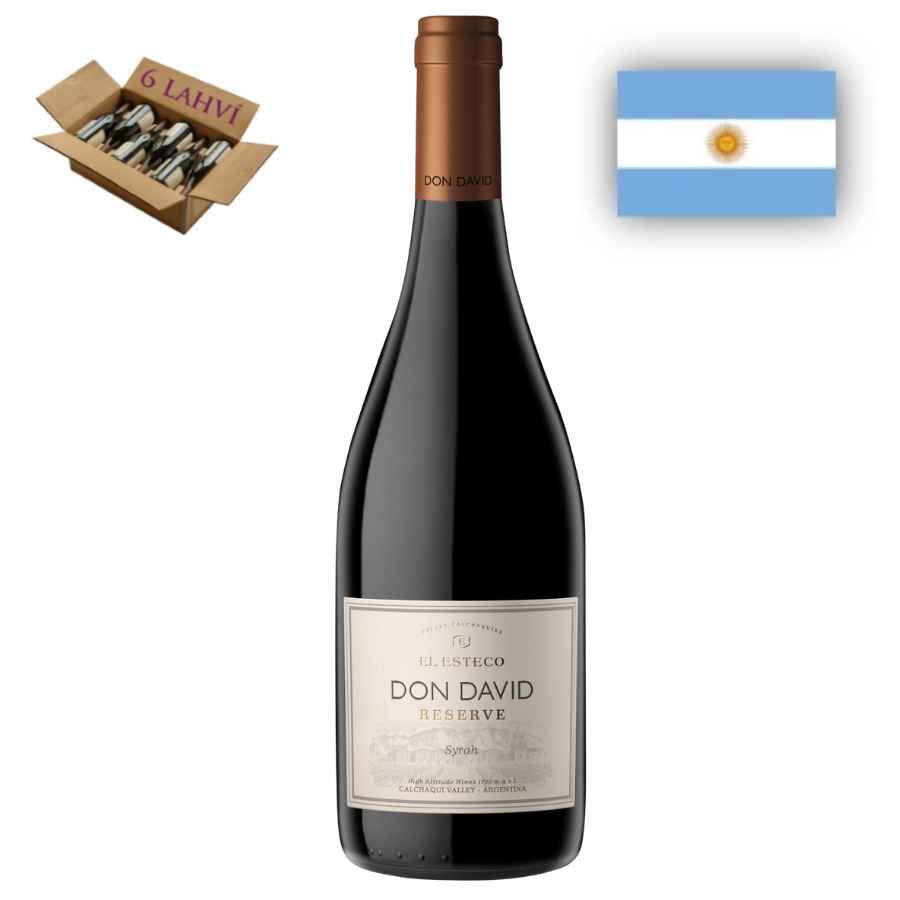  	Shiraz Don David Michel Torino - karton 6 lahvi vina