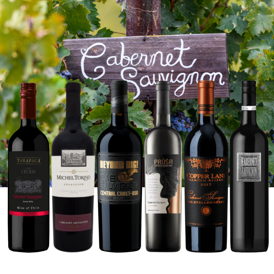 Degustační balíček červených vín odrůdy Cabernet Sauvignon (karton 6 lahví vína) 