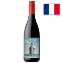 merlot-syrah-art-de-france-advini-2