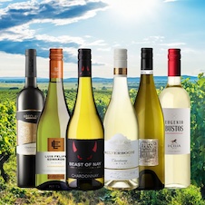 vinicola-akce-06-2026-chardonnay-900x900