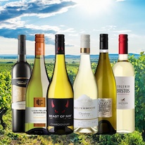 vinicola-akce-06-2026-chardonnay-900x900