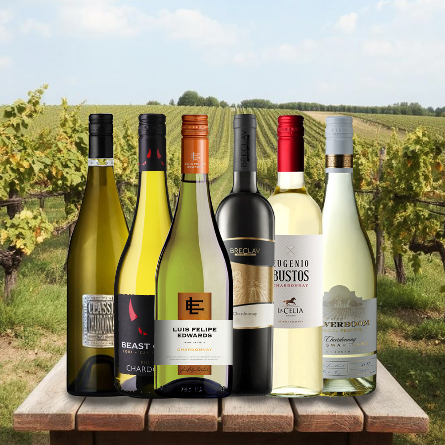 vinicola-akce-062024-chardonnay-900x900