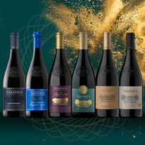 vinicola-balicek-vin-tarapaca-150let-900x900