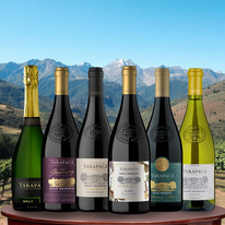 vinicola_akce_04-2025_tarapaca_900x900