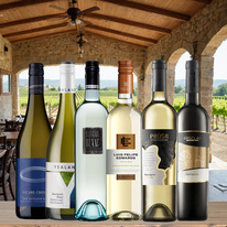 vinicola-akce-05-2025-sauvignon-blanc_900x900