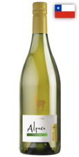 chardonnay alpaca vina san pedro 2
