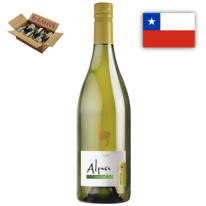 chardonnay alpaca vina san pedro karton 6 lahvi vina