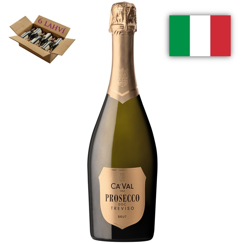 Prosecco sekt Scudo Oro Brut karton 6 lahví vína-2