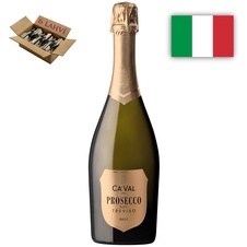 Prosecco sekt Scudo Oro Brut karton 6 lahví vína-2