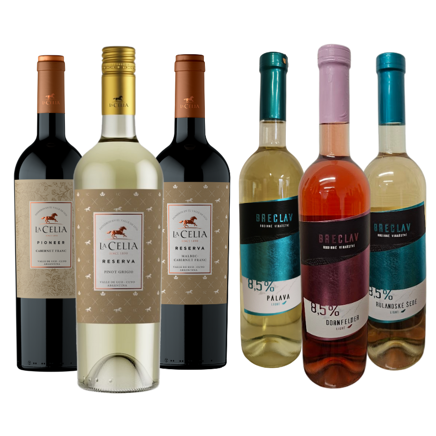 Degustační balíček novinek (karton 6 lahví vína)