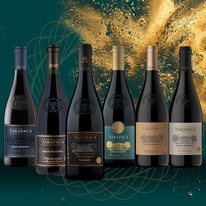 vinicola-akce-02-2026-tarapaca-900x900