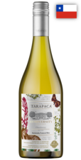 Chardonnay Varietal Biodiversity Edition Tarapaca 2