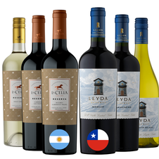 vinicola-akce-03-2026-leyda-la-celia-reserva_900x900px (1)