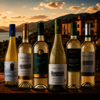 Degustační balíček chilských vín Sauvignon Blanc (karton 6 lahví vína)