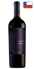 Carmenére TIERRAS MORADAS San Pedro 300x600 Vinicola