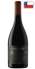 Syrah KANKANADEL ELQUI San Pedro 2