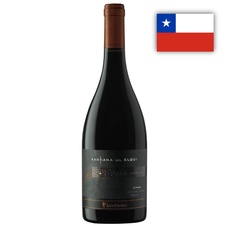 Syrah KANKANADEL ELQUI San Pedro 1