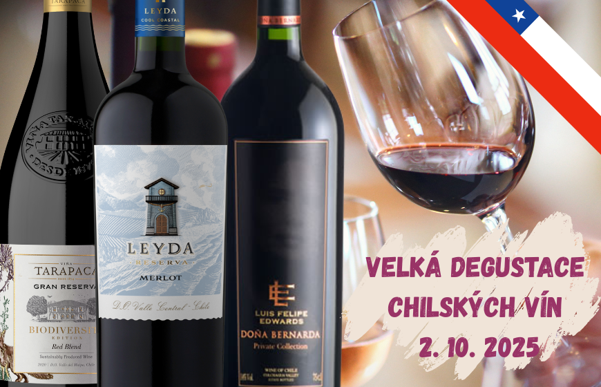 Degustace chilských vín