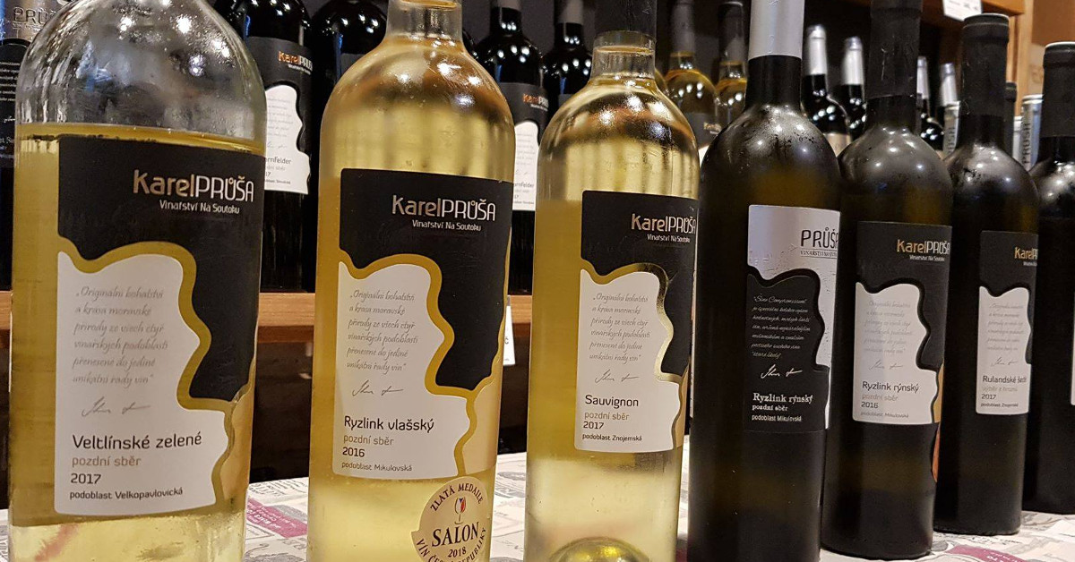 Degustace moravských vín a setkání s vinařem Vinařství Na Soutoku