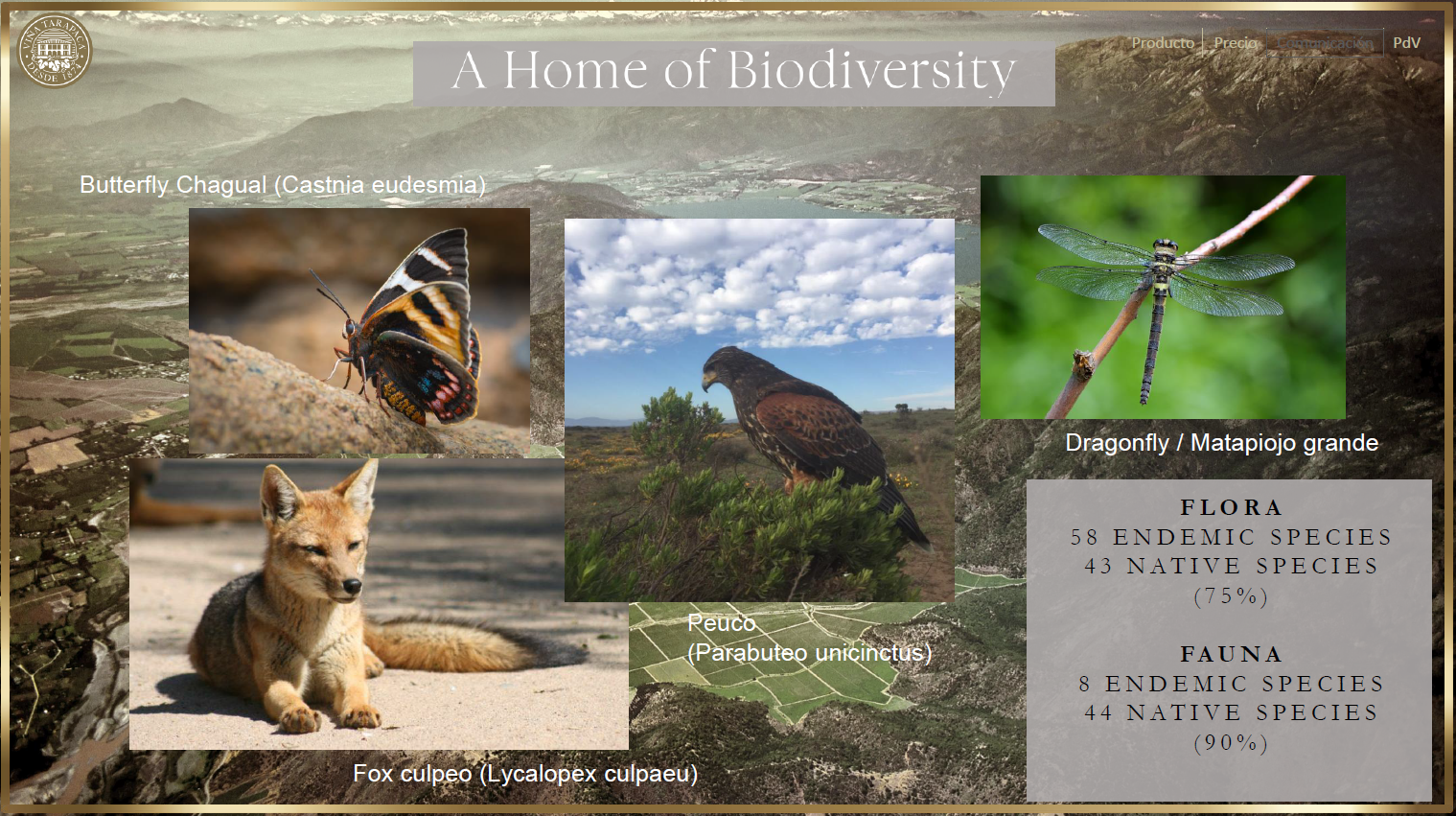 tarapaca biodiversity prezentace 4