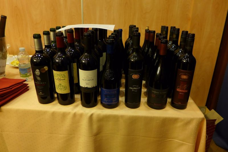 vanocni degustace vin s vinicolou 2019  _003